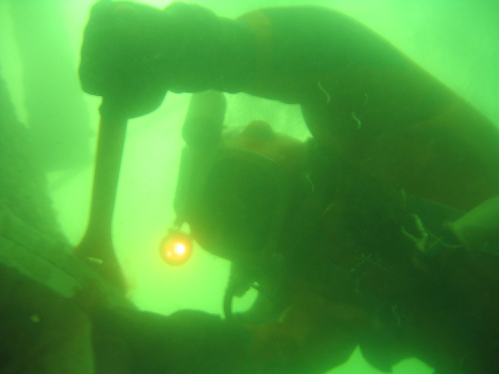 Professionell dykare i havet, bild tagen under vatten